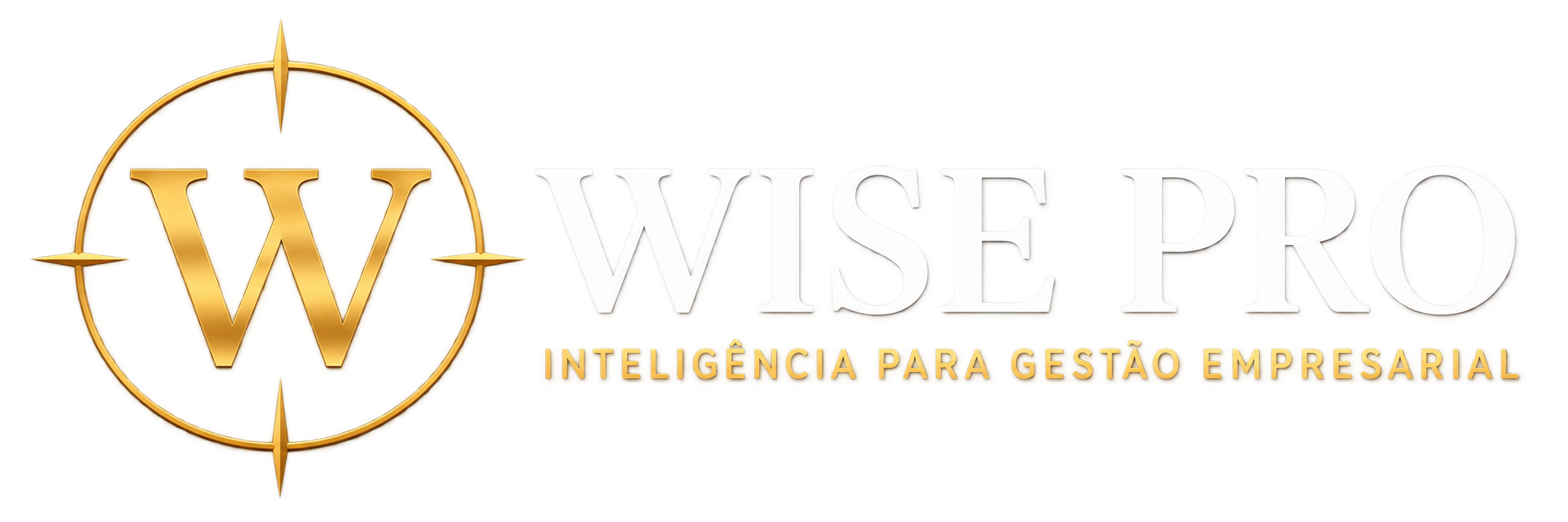 WISE Pro — Inteligência para gestão empresarial